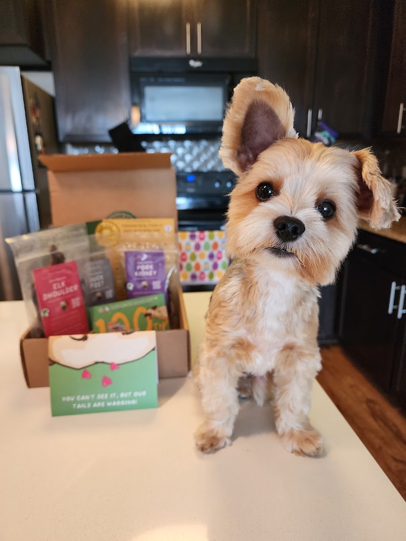 Real Dog Box photo 3