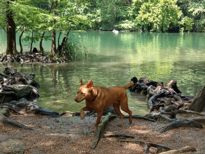 Red Bud Isle photo 2