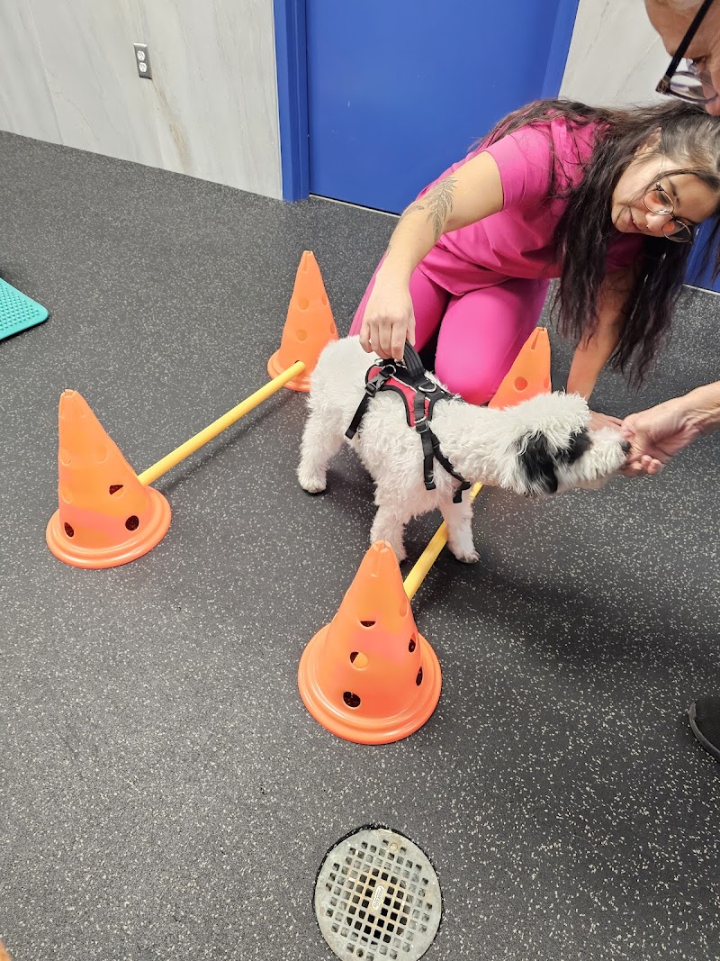 Rehab 4 PAWS & Integrative Therapy photo 2