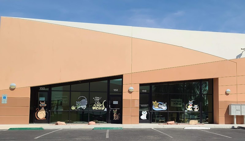 Rescued Treasures Cat Cafe by PALnv