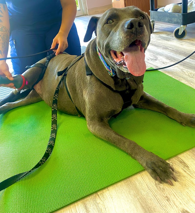Revive Veterinary Rehab photo 2