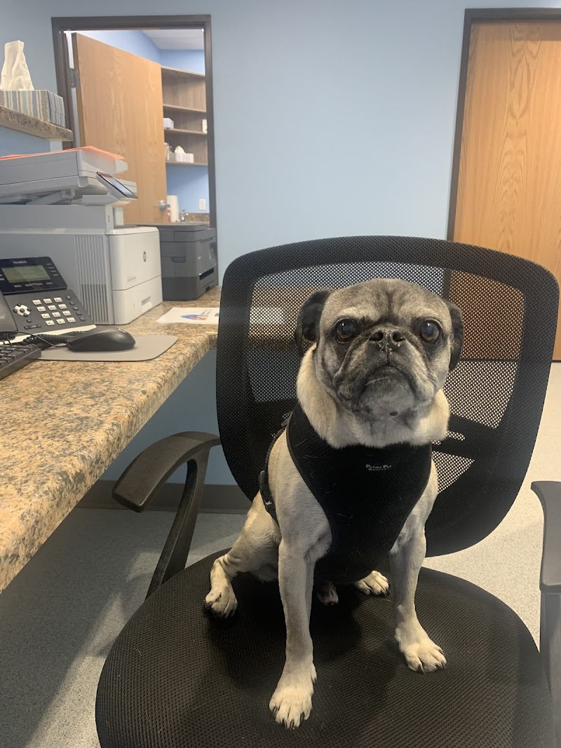 RiNoVet Animal Emergency Care photo 2