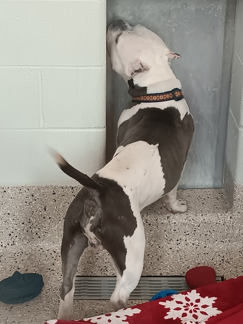 Riverdale Animal Shelter