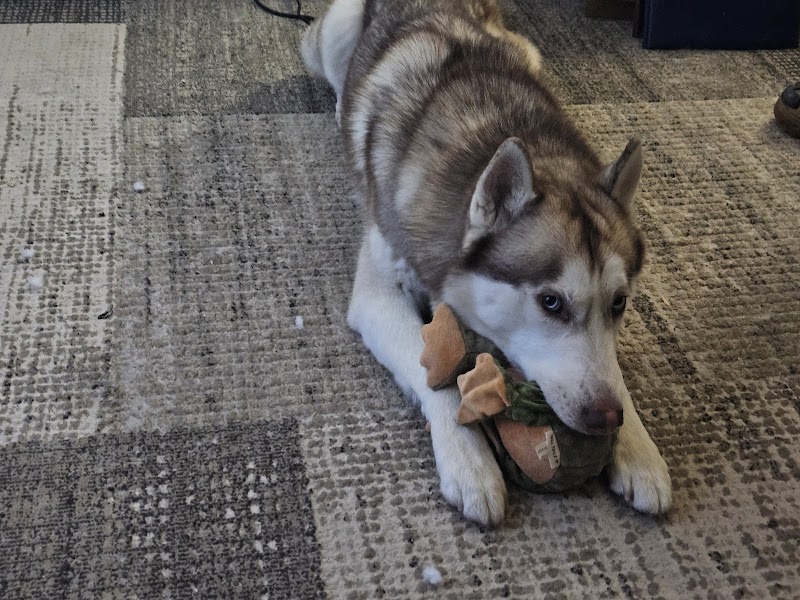 Riverdale Animal Shelter photo 2