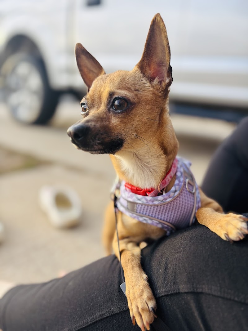 Riverdale Animal Shelter photo 3