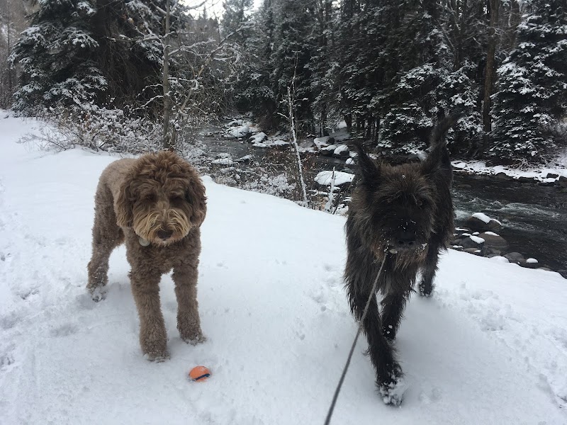 Roaring Fork Animal Rehabilitation & Fitness