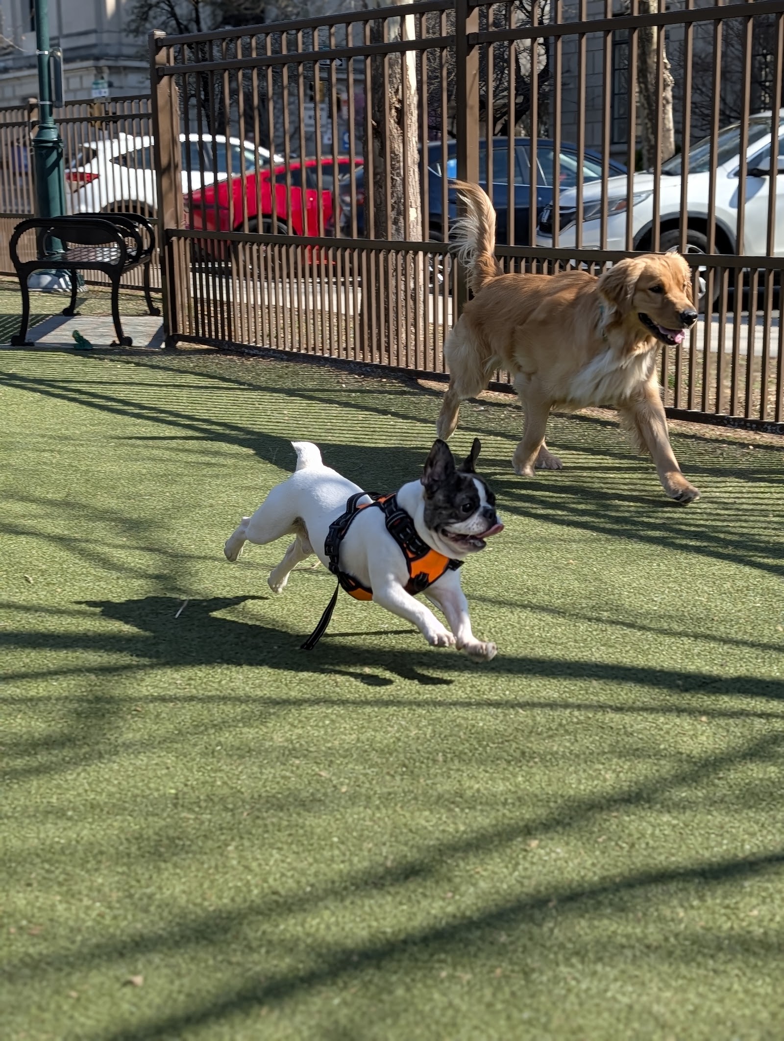 Rob Stuart Memorial Dog Park