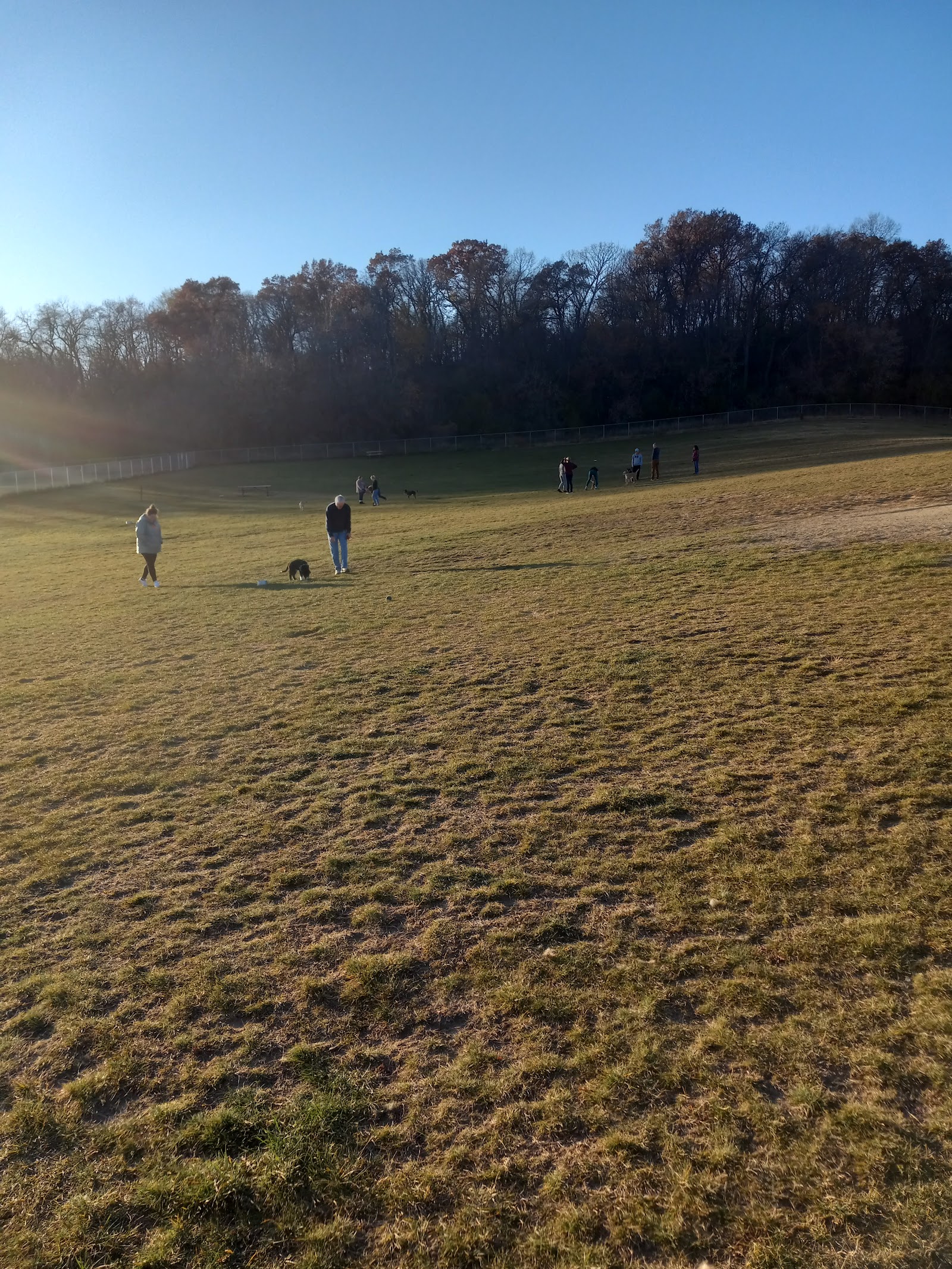 Rochester Dog Park - North