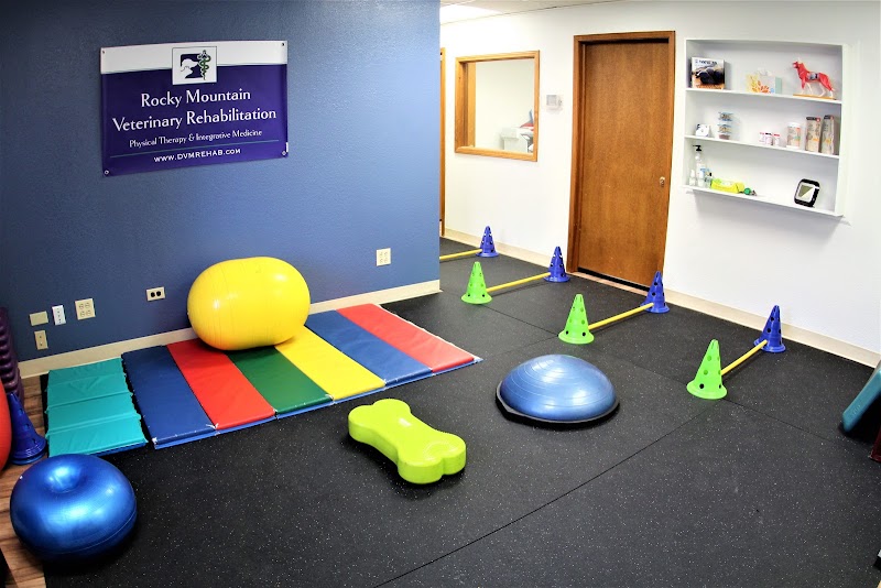 Rocky Mountain Veterinary Rehabilitation photo 2