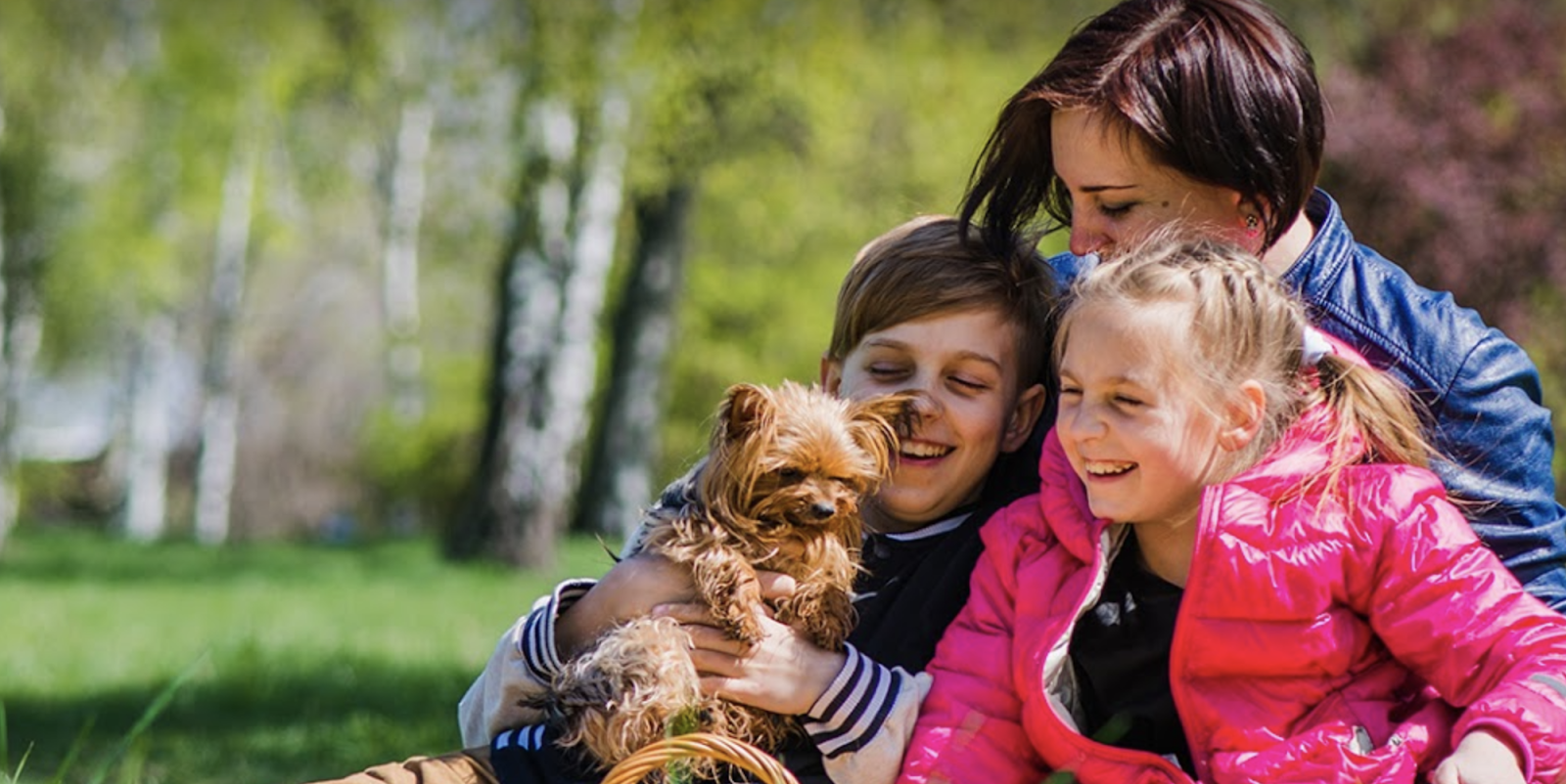 Roseway Veterinary Hospital