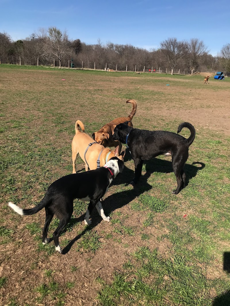 Round Rock Dog Depot photo 2