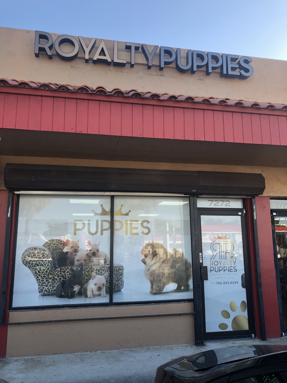 Royalty Puppies