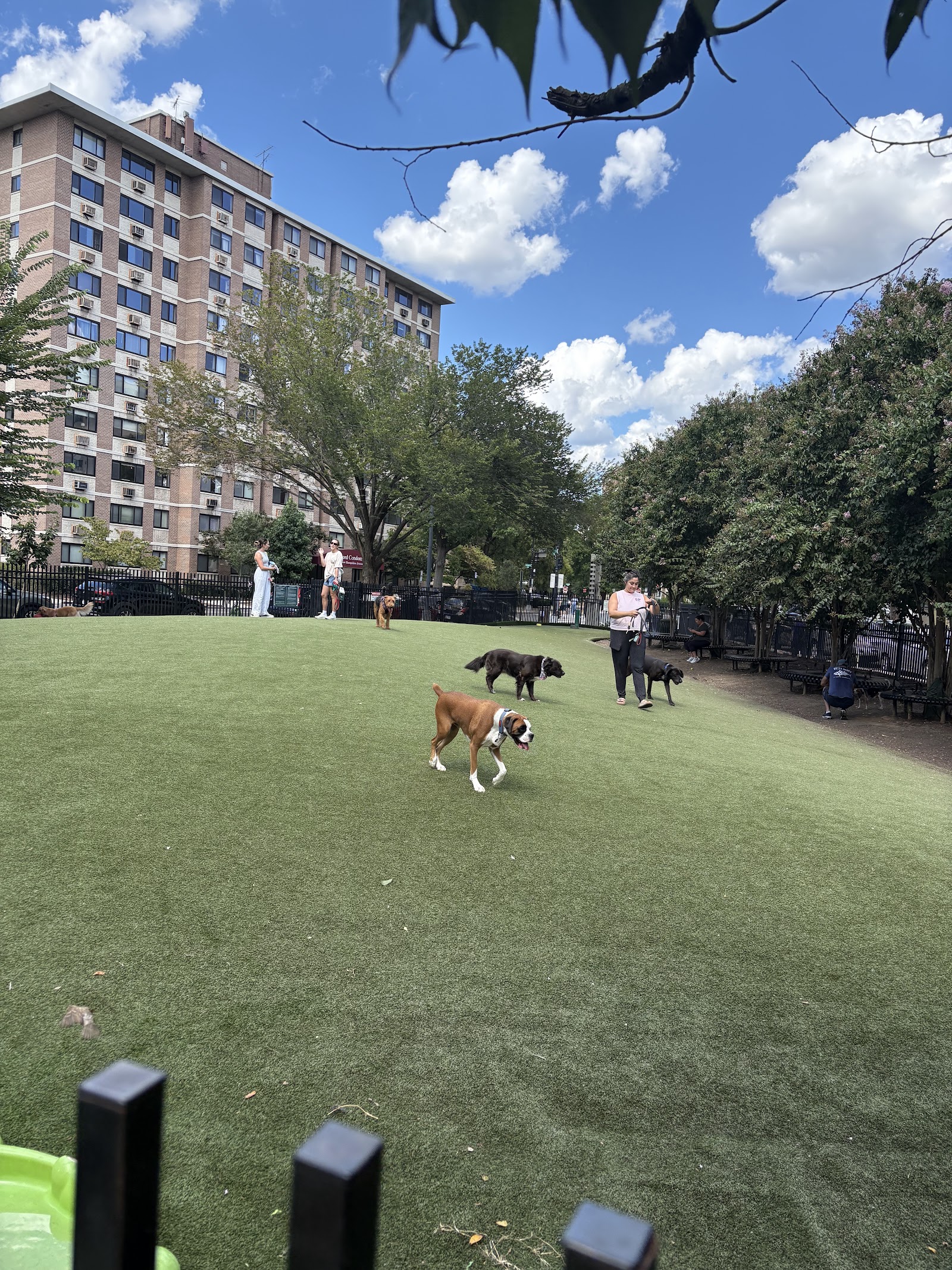 S Street Park