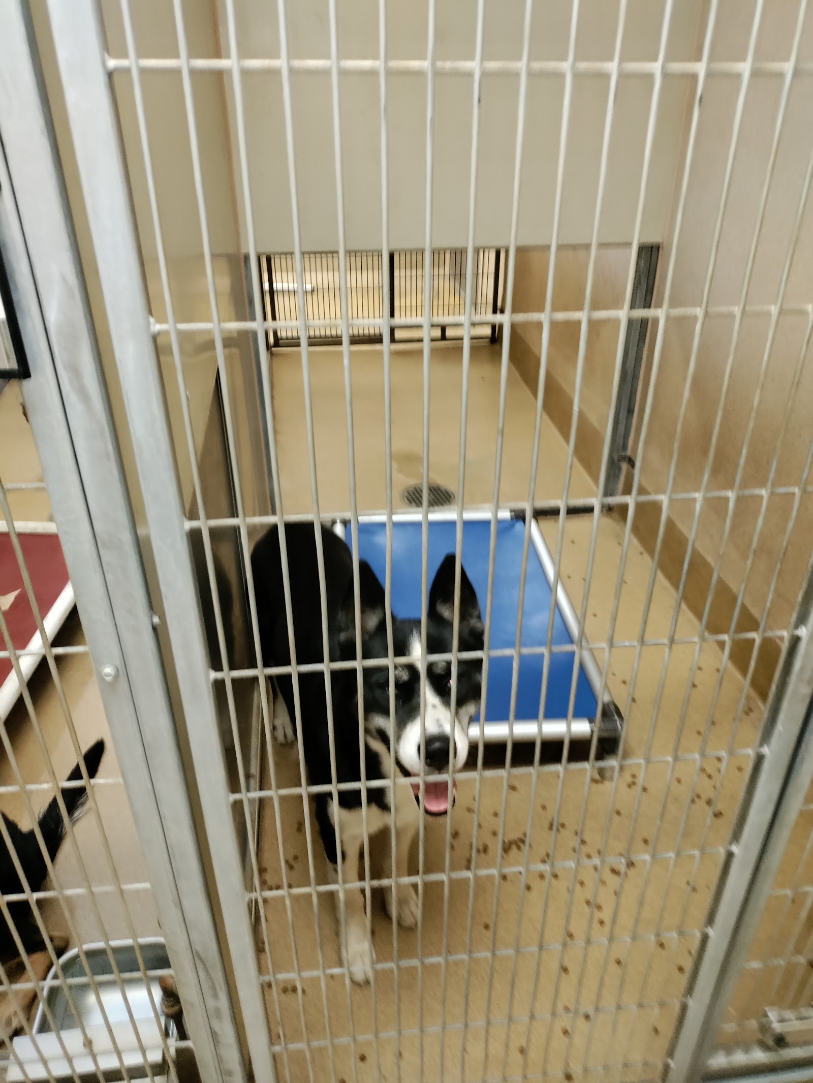 Sacramento County Bradshaw Animal Shelter