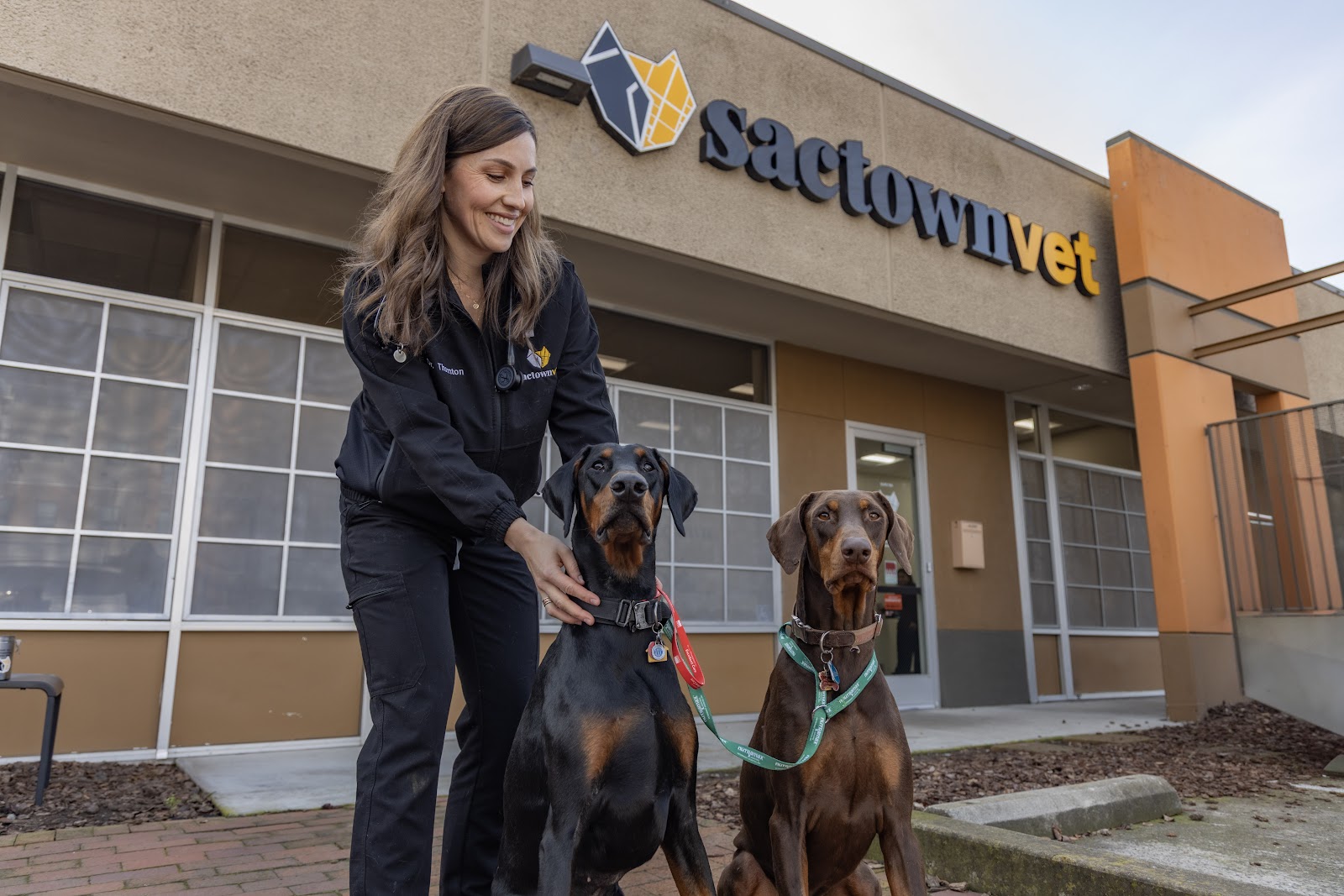 Sactown Vet