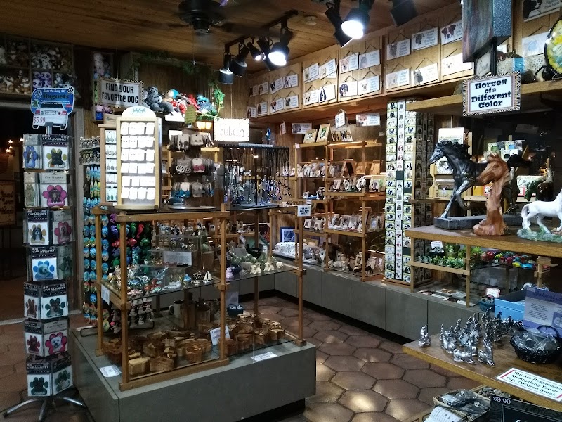 Safari Animal Collection photo 3