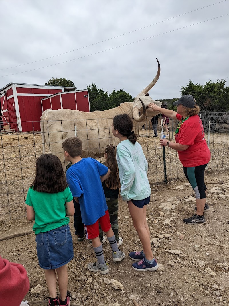 Safe in Austin photo 2