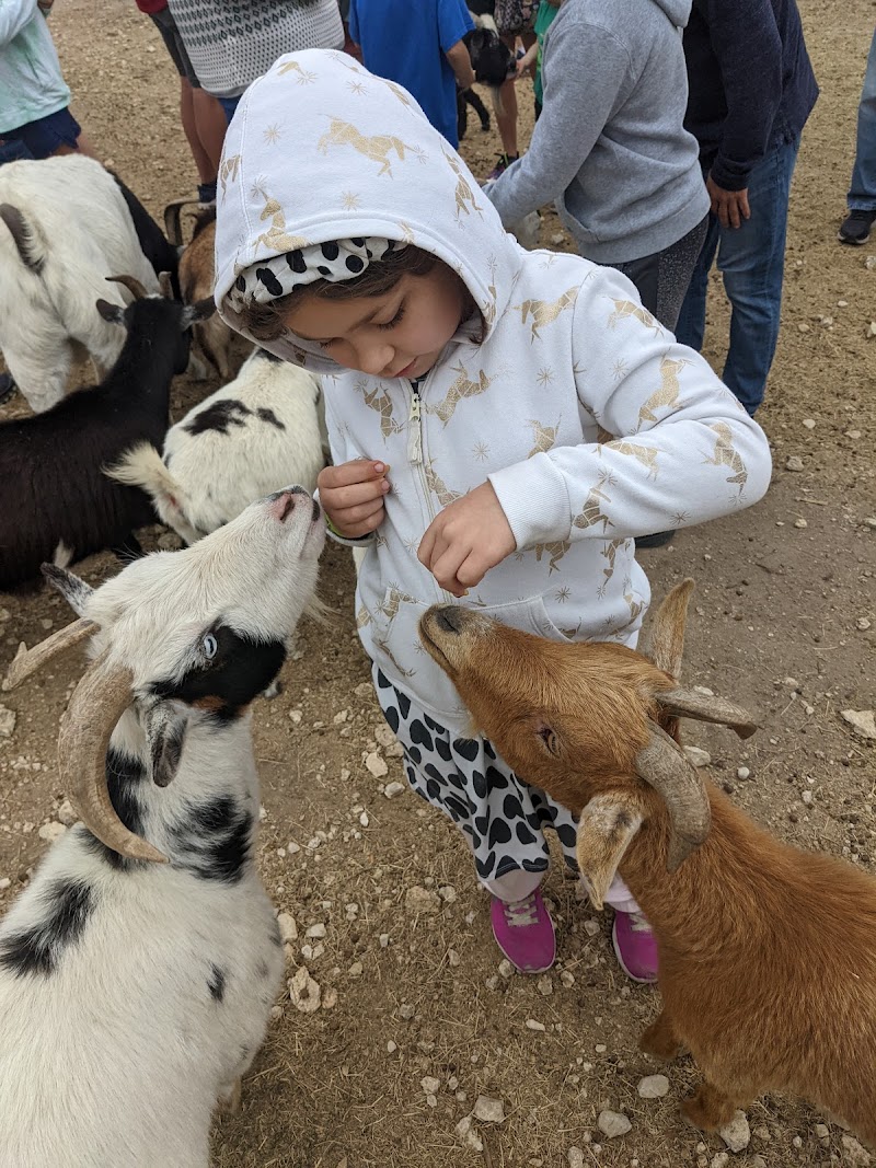 Safe in Austin photo 3