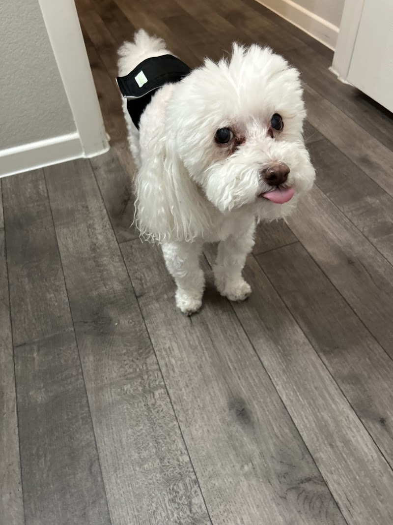 Sahara Pines Animal Hospital photo 3