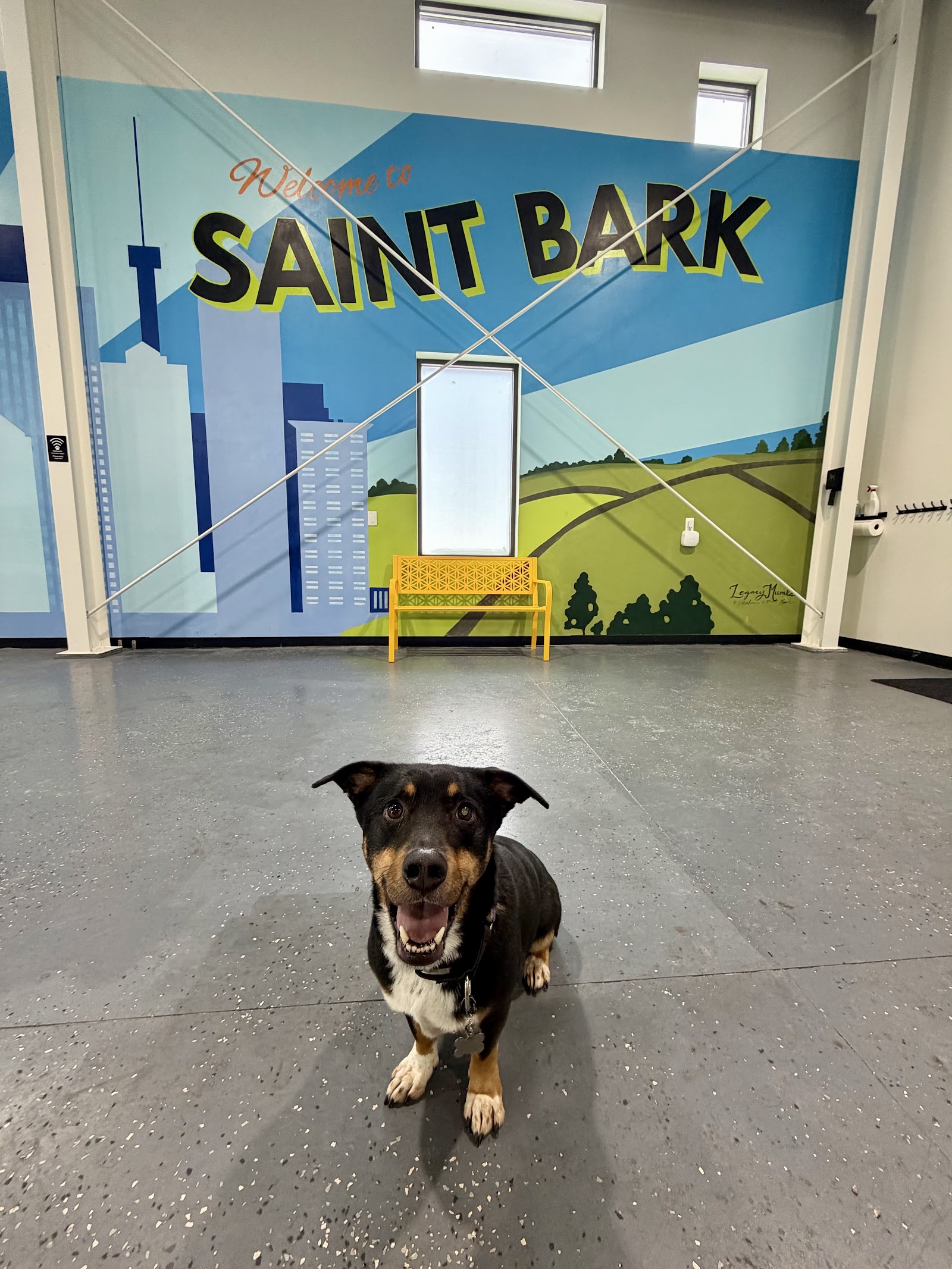 Saint Bark