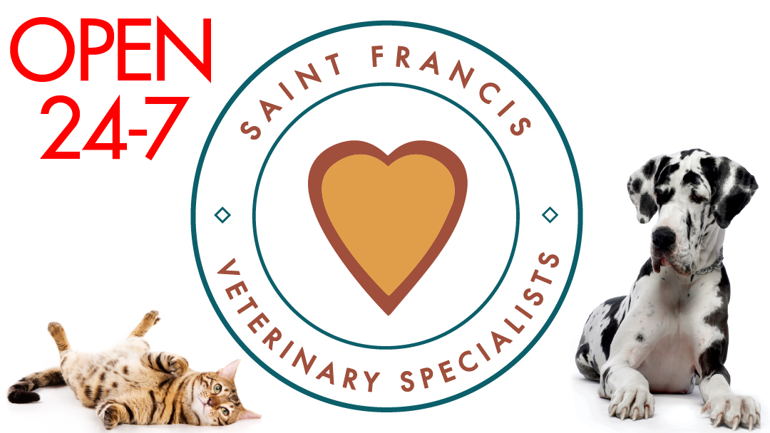 Saint Francis Veterinary Specialists and Emergency