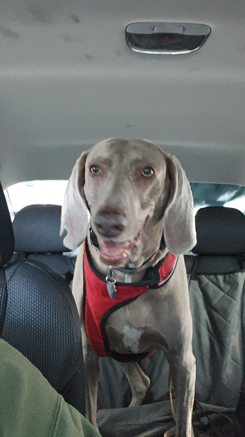 San Diego Affordable Veterinary Care