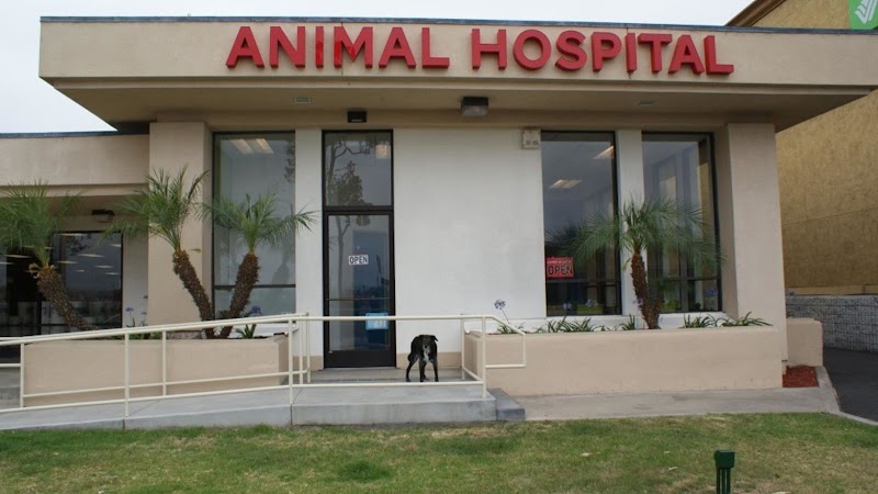 San Diego Bay Animal Hospital