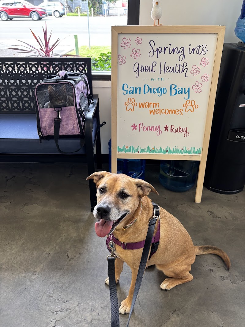 San Diego Bay Animal Hospital photo 2