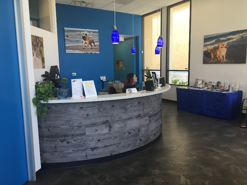 San Diego Bay Animal Hospital photo 3