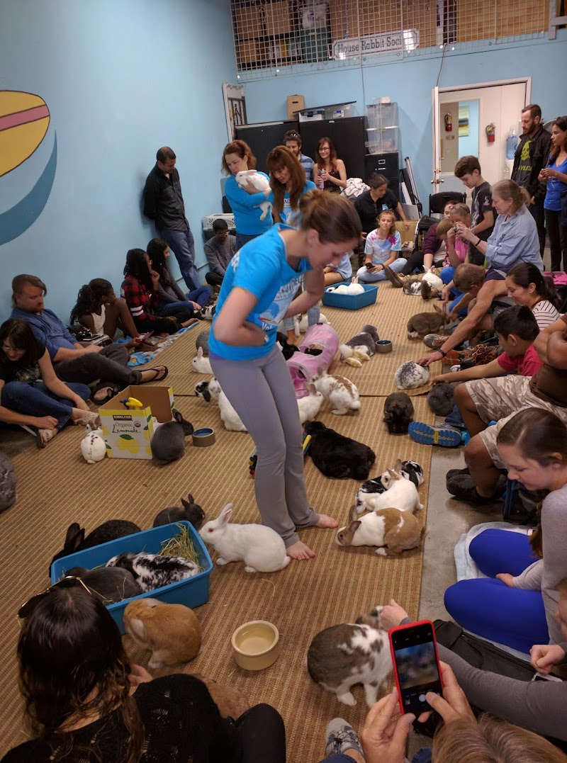 San Diego House Rabbit Society
