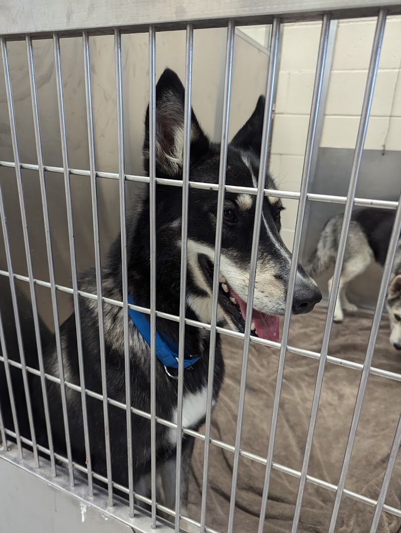 San Diego Humane Society's El Cajon Campus