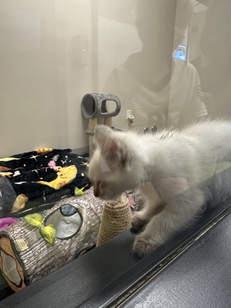 San Diego Humane Society's El Cajon Campus photo 3