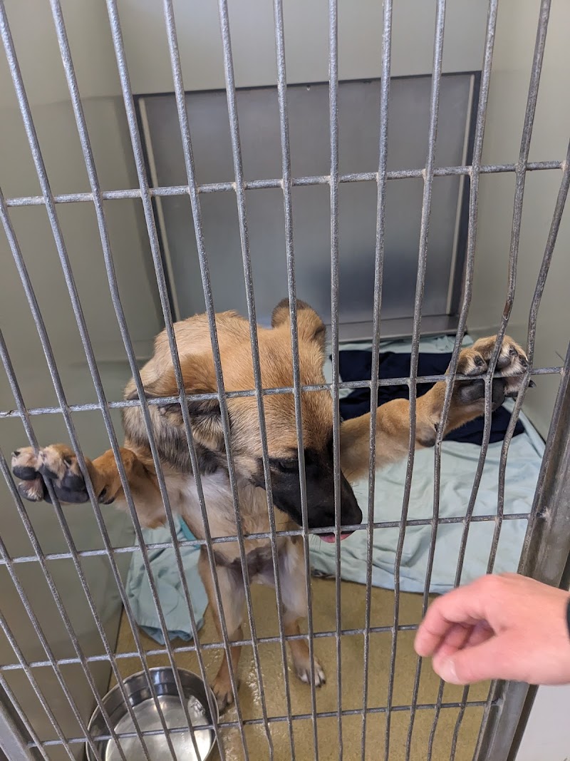 San Diego Humane Society's Escondido Campus