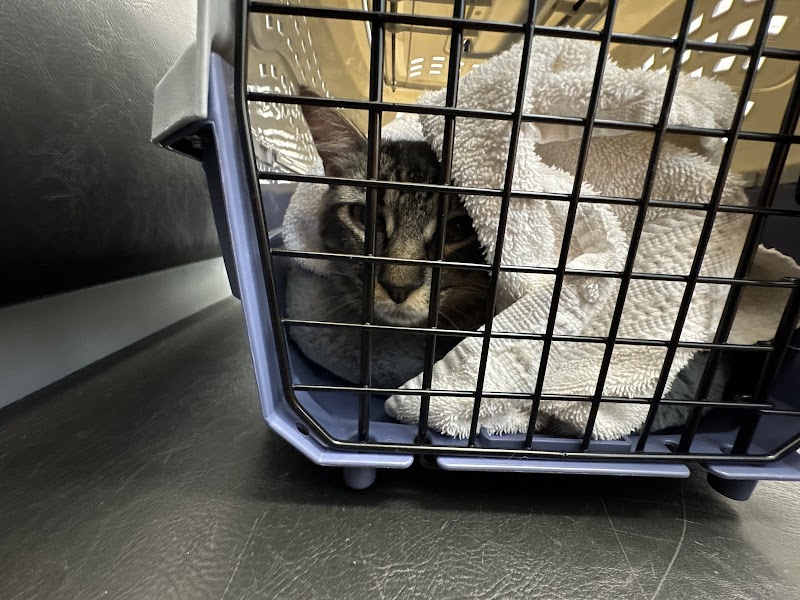 San Diego Humane Society's Oceanside Campus (Cats, Small Pets)