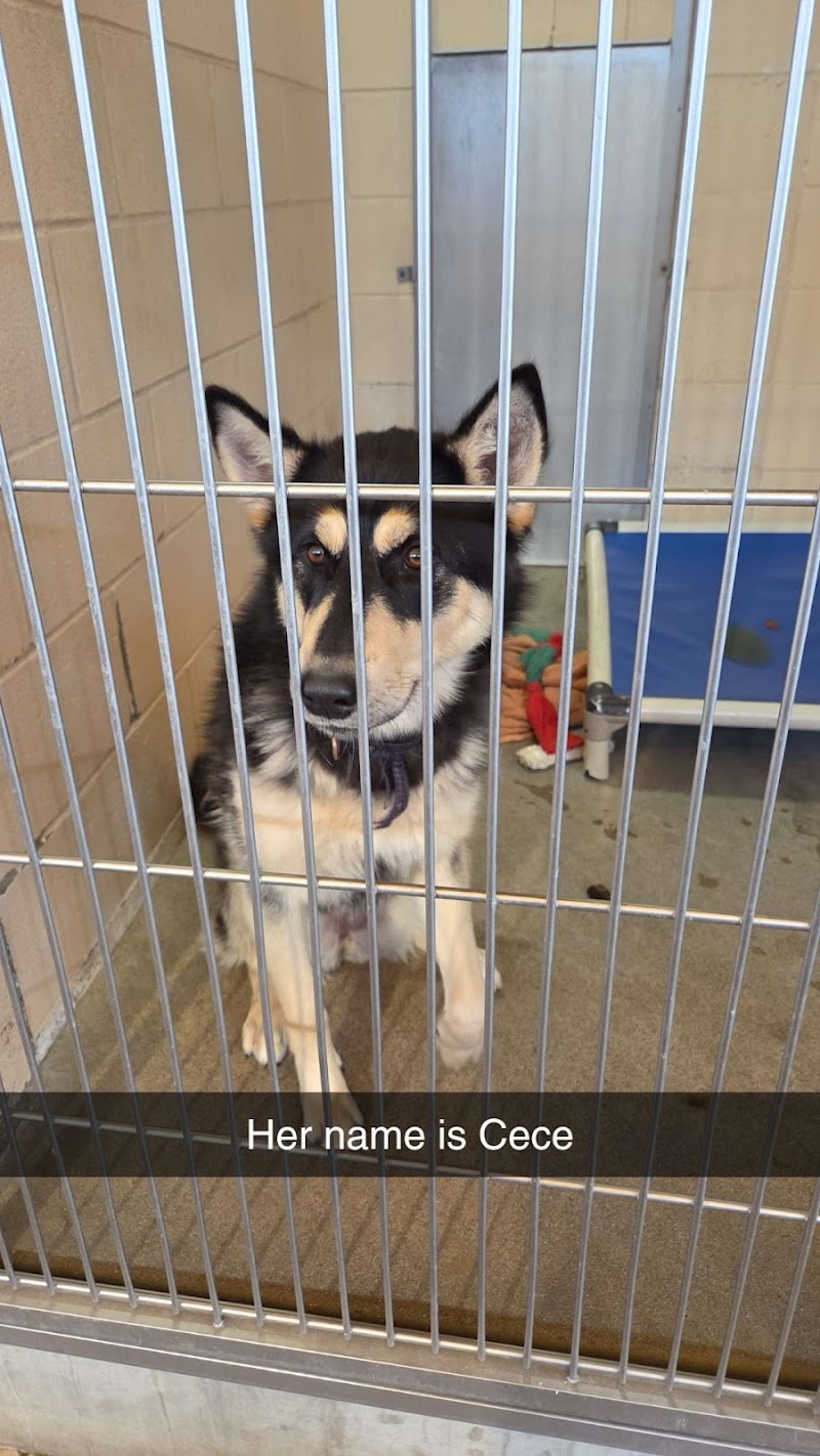 San Diego Humane Society's Oceanside Campus (Dogs)