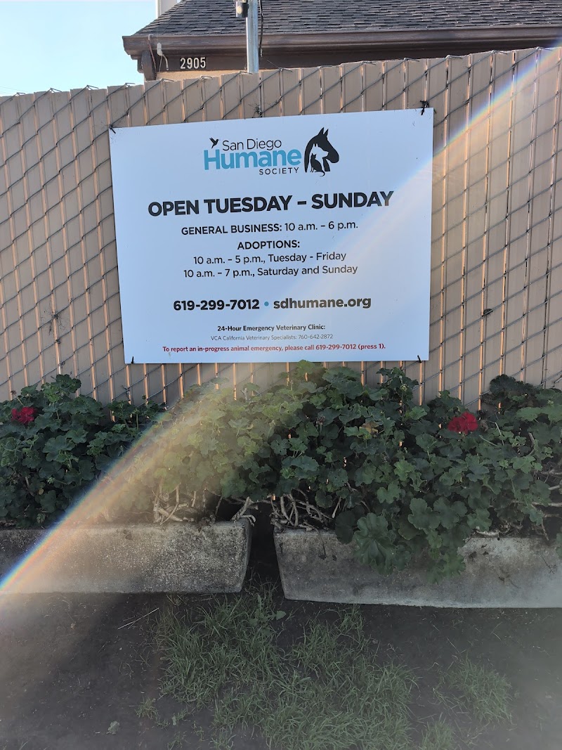 San Diego Humane Society's Oceanside Campus (Dogs) photo 3