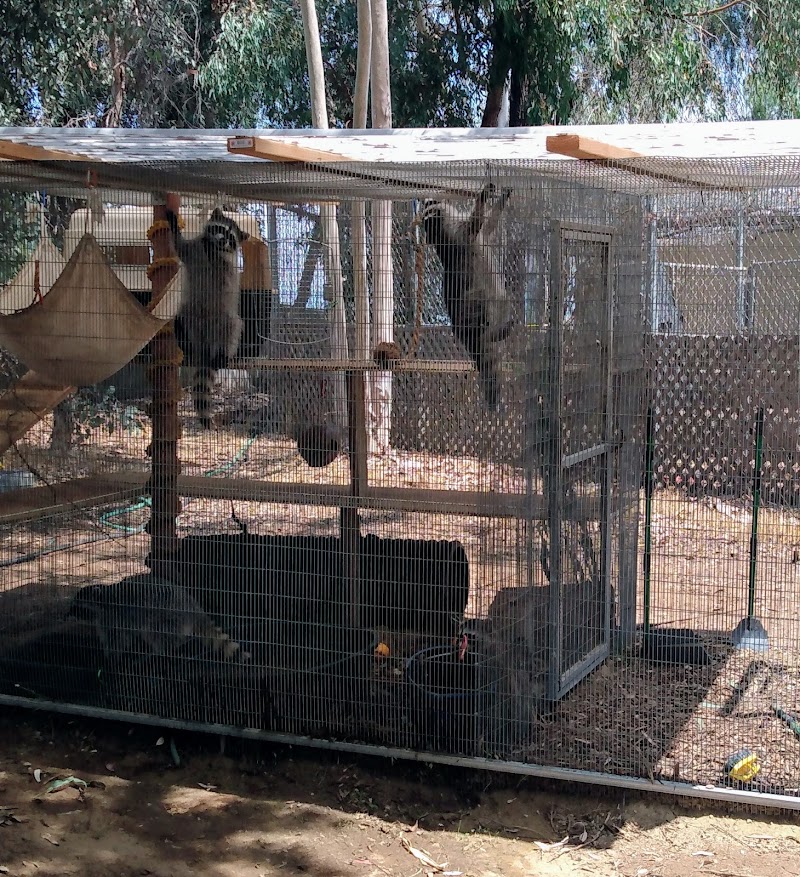 San Diego Humane Society's Ramona Wildlife Center