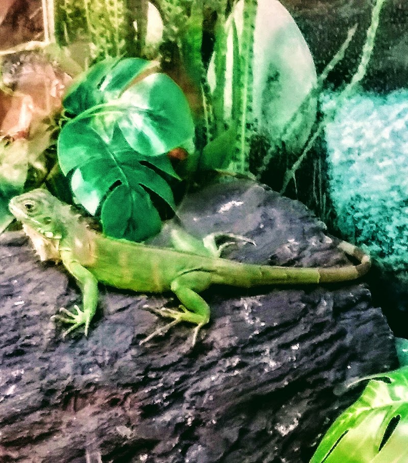 San Diego Humane Society's Ramona Wildlife Center photo 2