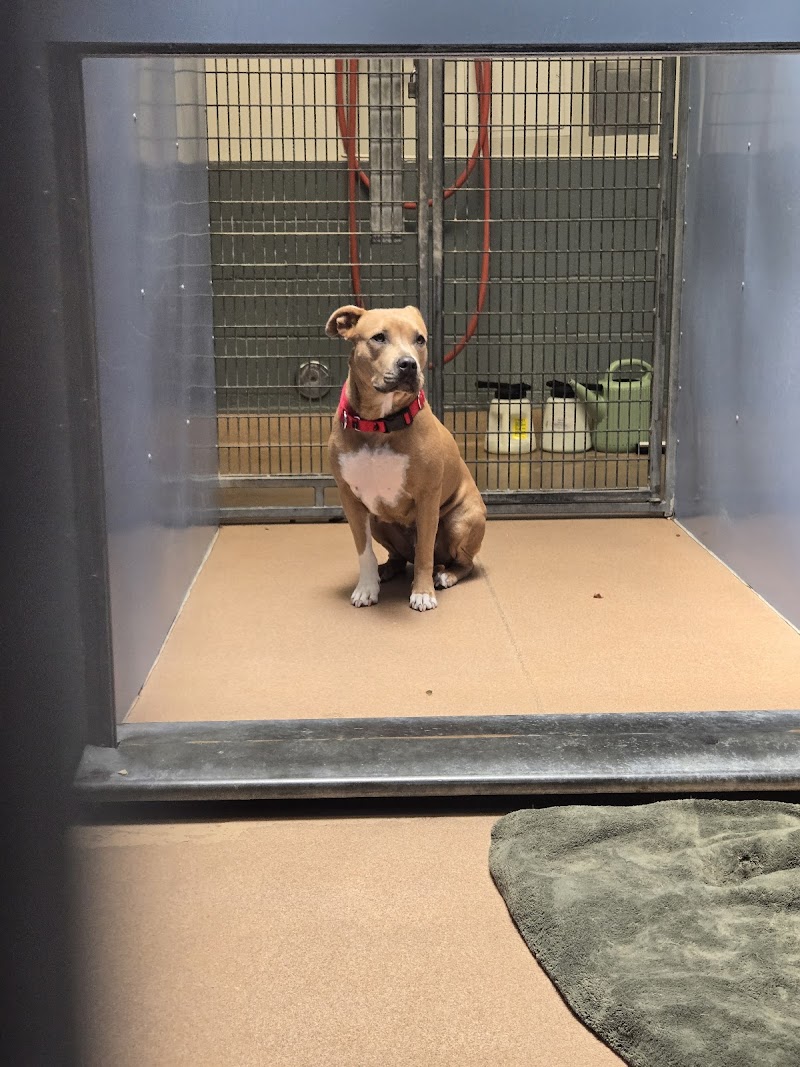 San Diego Humane Society's San Diego Campus photo 2