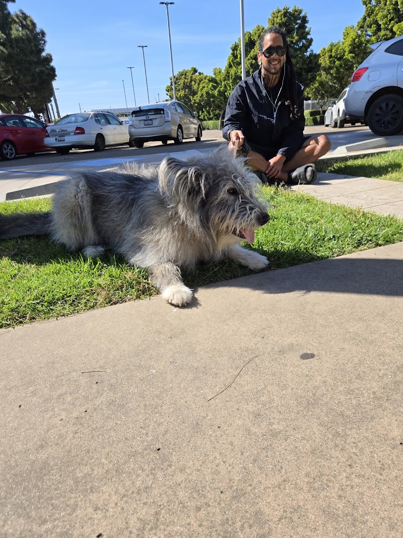 San Diego Pet Boarding