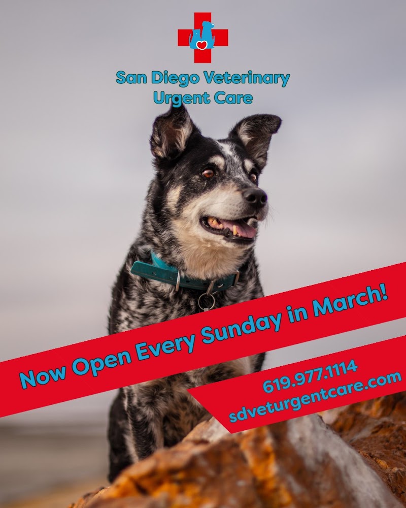 San Diego Veterinary Urgent Care photo 2