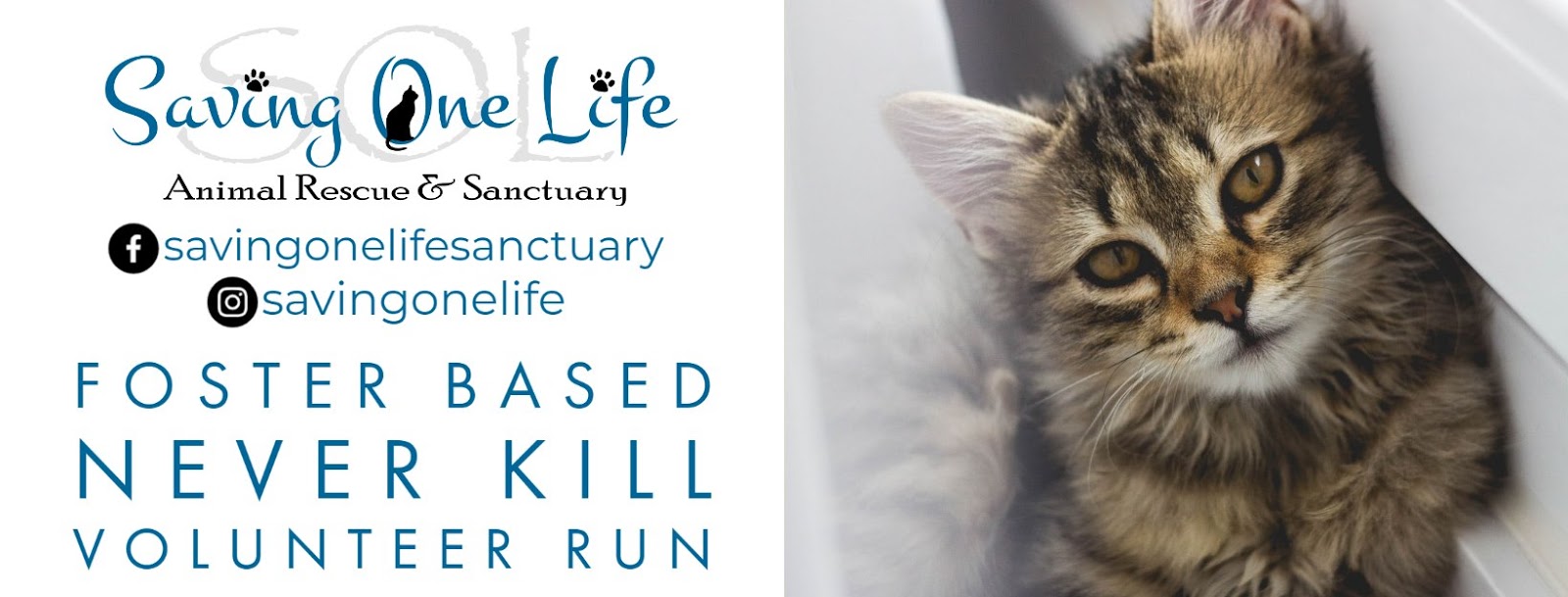 Saving One Life Animal Rescue and Sanctuary