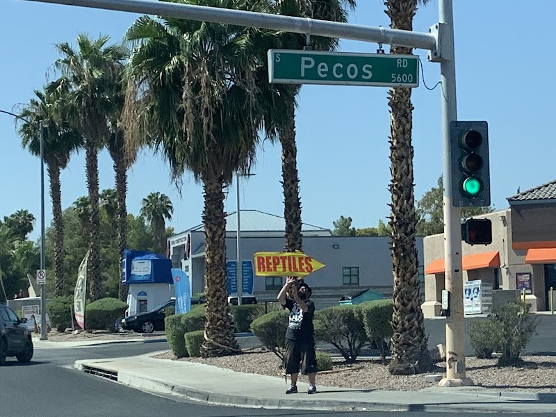 Scales 'N Tails Las Vegas #2