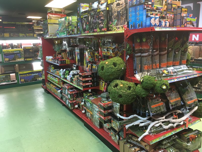 Scales 'N Tails Las Vegas #2 photo 2