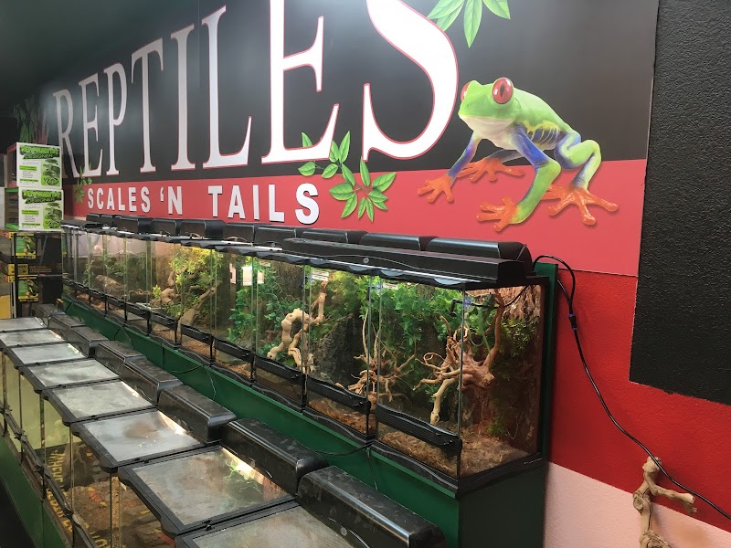 Scales 'N Tails Las Vegas #2 photo 3