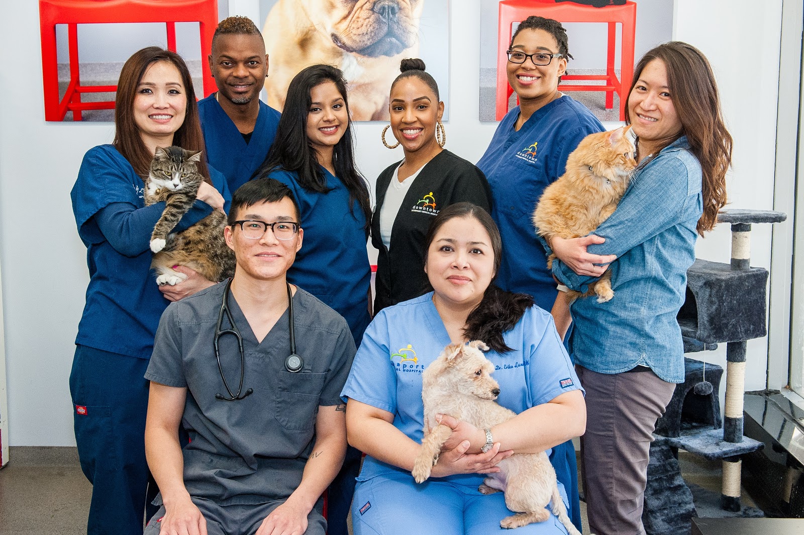Seaport Animal Hospital