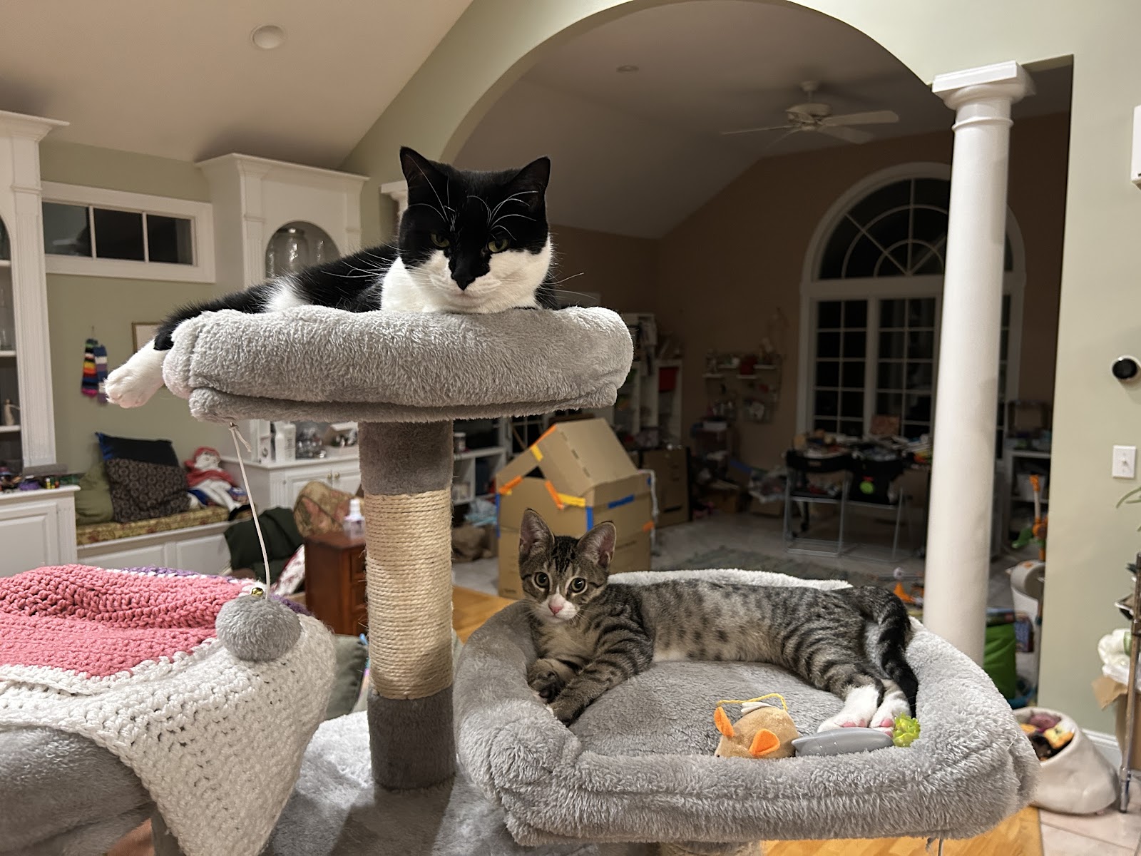 Second Chance Rescue