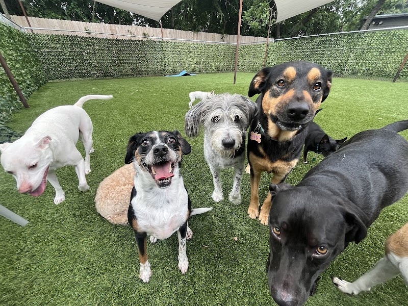 Second Home Boarding, LLC