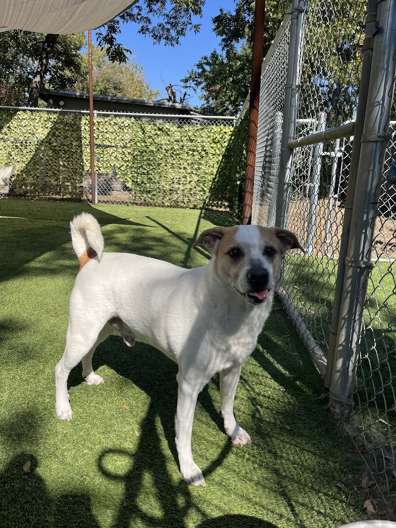 Second Home Boarding, LLC photo 2