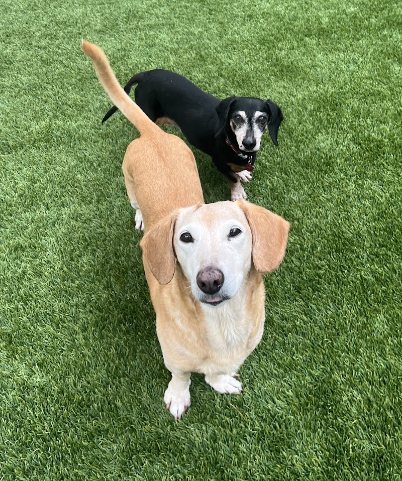 Second Home Boarding, LLC photo 3